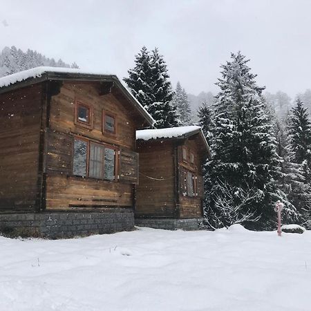 Kardelen Bungalov Evleri̇ Ayder Yaylasi Eksteriør billede