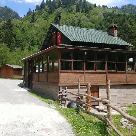 Kardelen Bungalov Evleri̇ Ayder Yaylasi Eksteriør billede