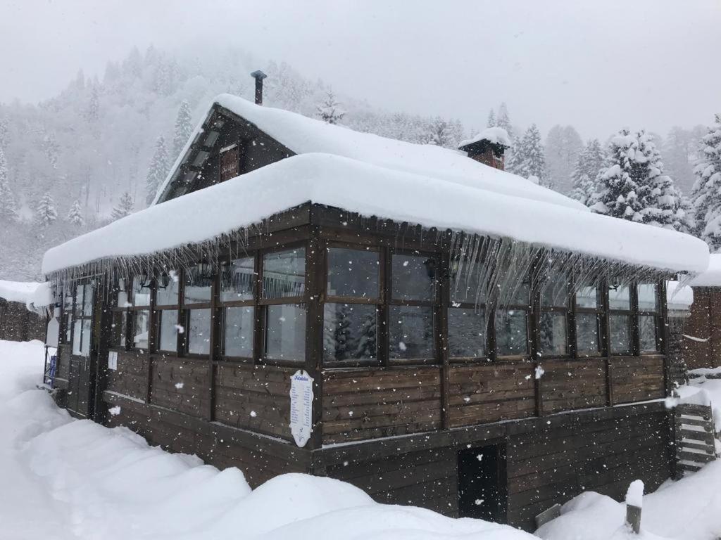 Kardelen Bungalov Evleri̇ Ayder Yaylasi Eksteriør billede