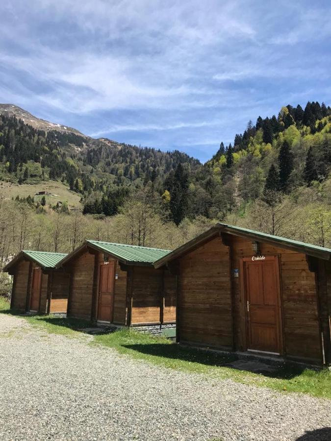 Kardelen Bungalov Evleri̇ Ayder Yaylasi Eksteriør billede