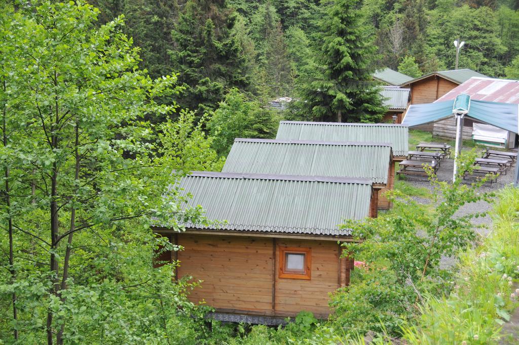 Kardelen Bungalov Evleri̇ Ayder Yaylasi Værelse billede