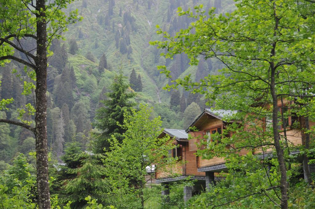 Kardelen Bungalov Evleri̇ Ayder Yaylasi Værelse billede