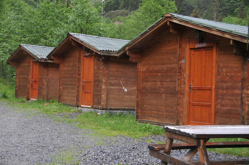 Kardelen Bungalov Evleri̇ Ayder Yaylasi Værelse billede